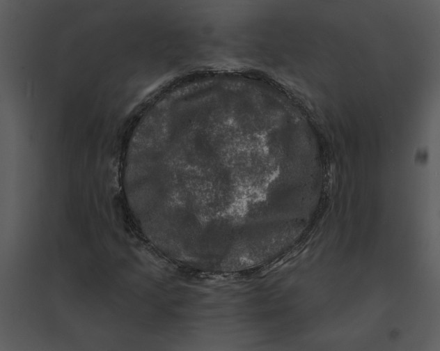 X0000095551205200801041323