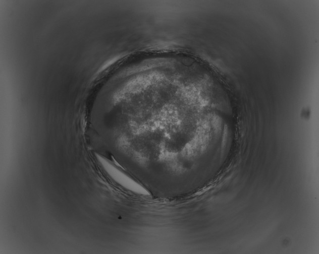 X0000095551206200801041323