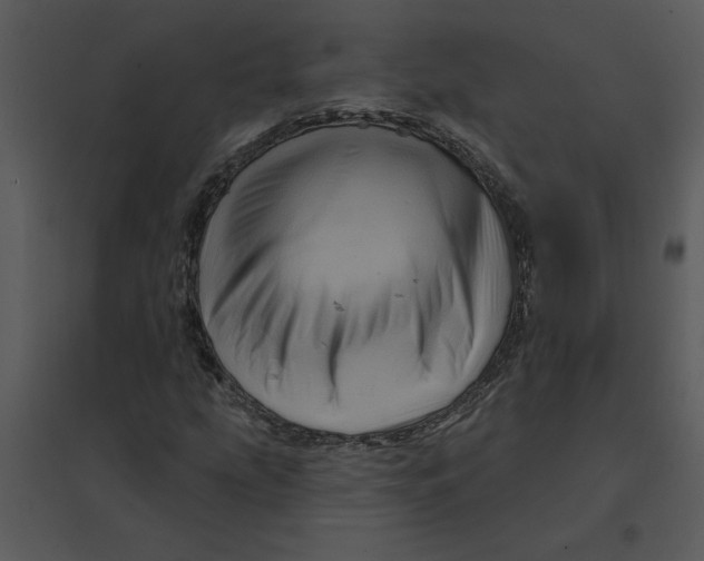 X0000095551207200801041323