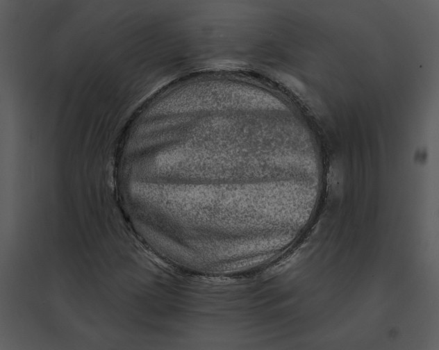 X0000095551209200801041323