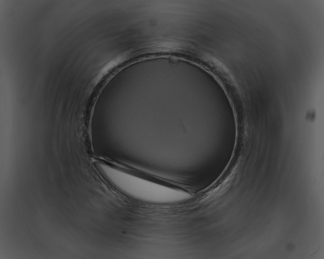 X0000095551210200801041324