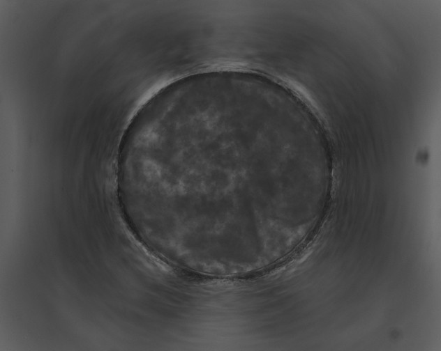 X0000095551212200801041324