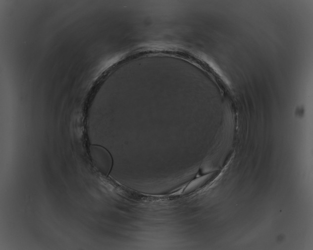 X0000095551213200801041324