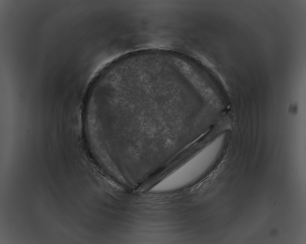 X0000095551214200801041324