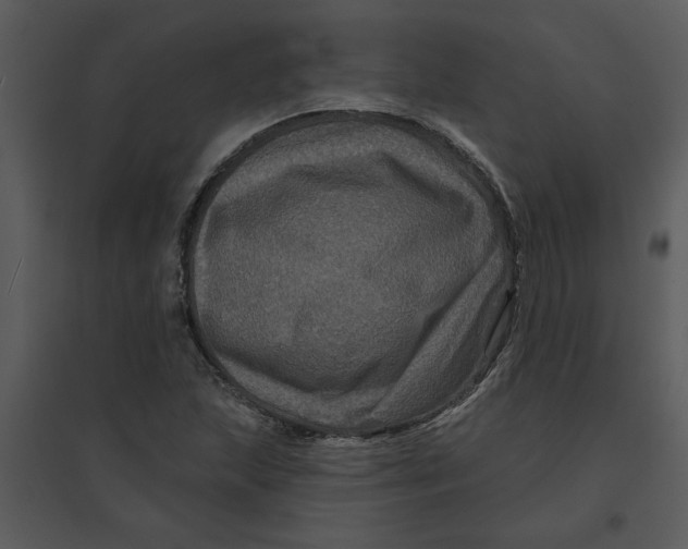 X0000095551215200801041324