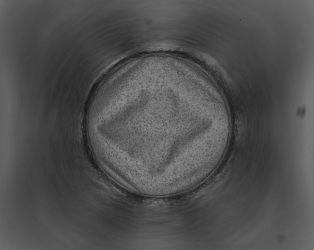 X0000095551217200801041324