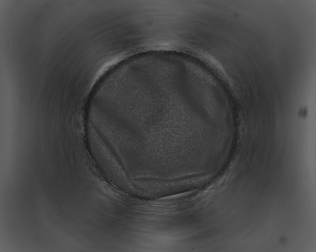 X0000095551218200801041324