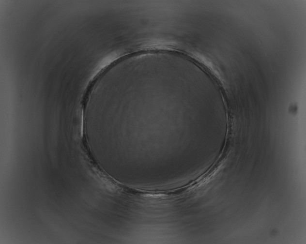 X0000095551219200801041324