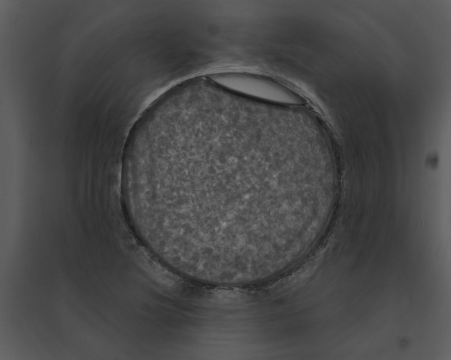 X0000095551220200801041324