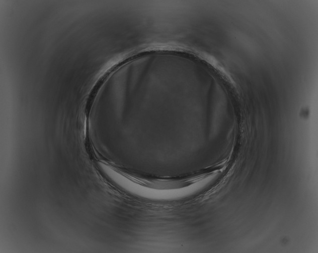 X0000095551221200801041324