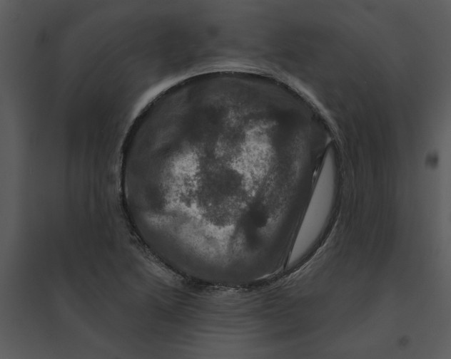 X0000095551222200801041324