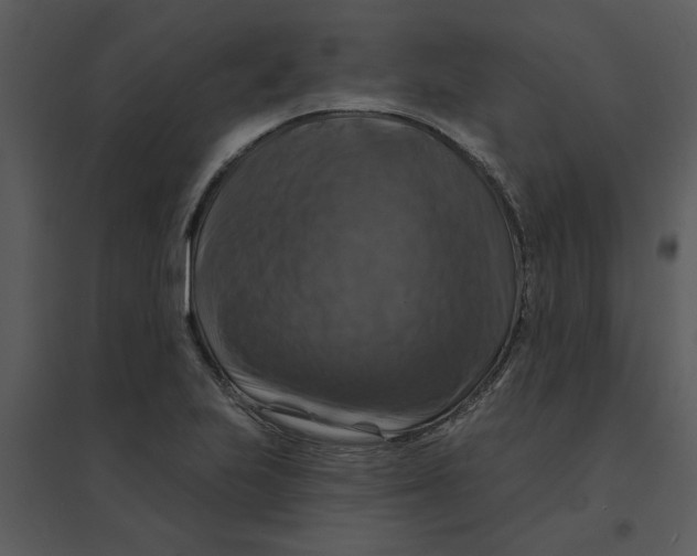 X0000095551223200801041324