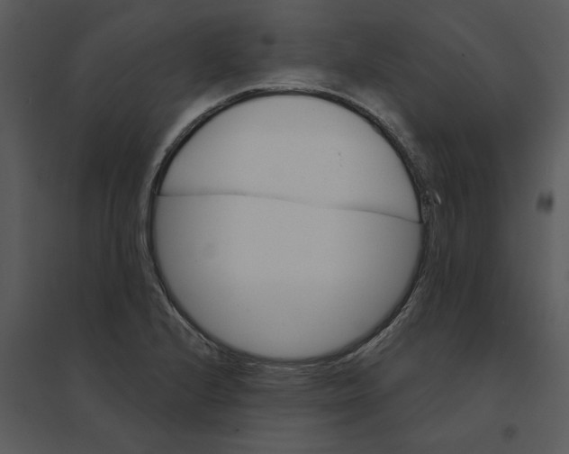 X0000095551224200801041324