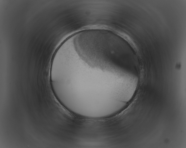 X0000095551228200801041324