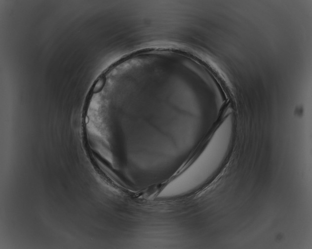 X0000095551229200801041324