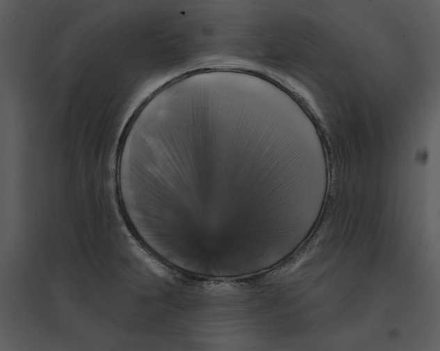 X0000095551231200801041324