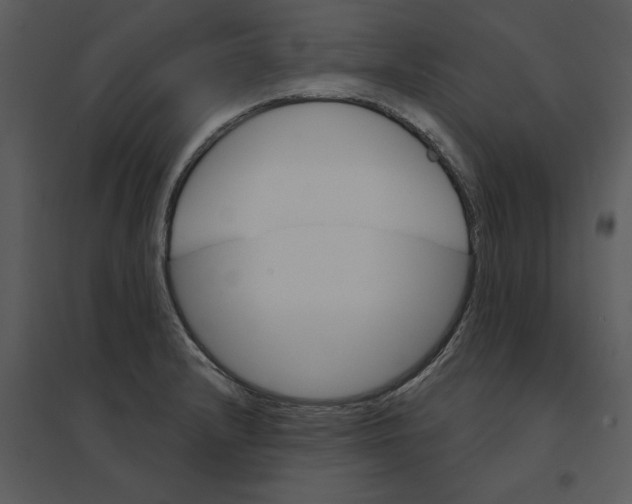 X0000095551232200801041324