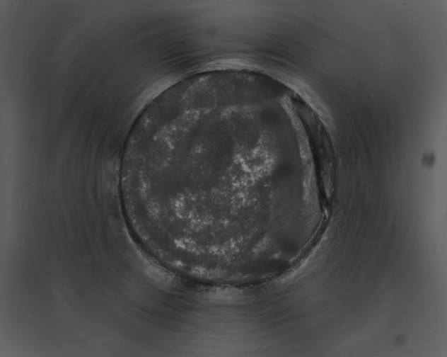 X0000095551233200801041324