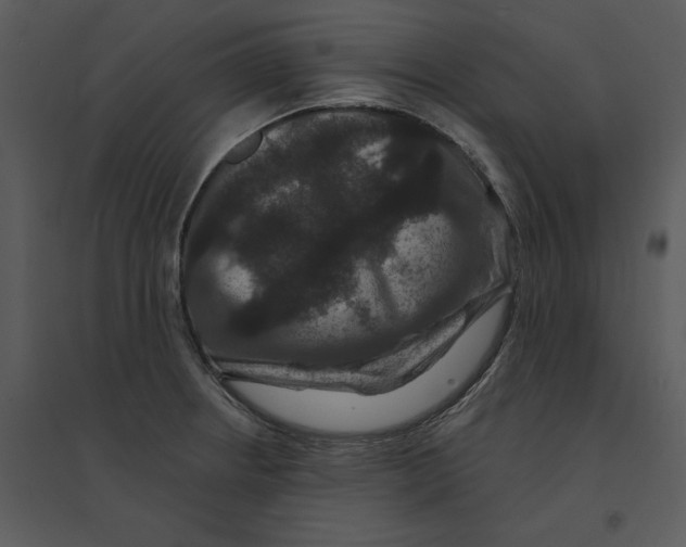 X0000095551234200801041324