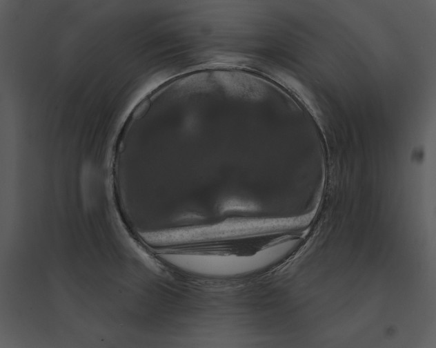 X0000095551235200801041324