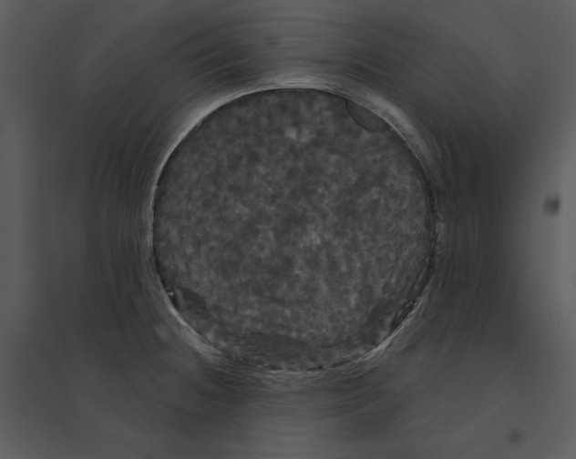 X0000095551236200801041324