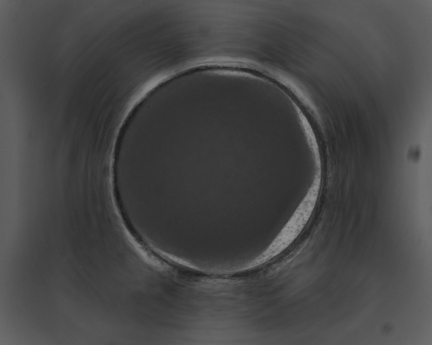 X0000095551237200801041324