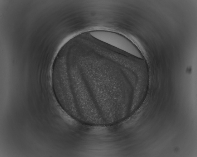 X0000095551238200801041324