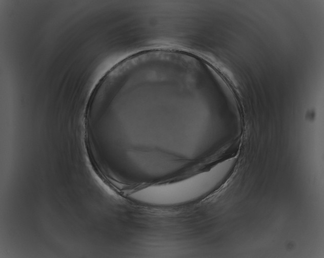 X0000095551239200801041324