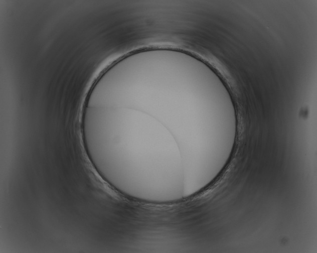 X0000095551240200801041324