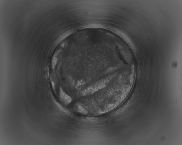 X0000095551241200801041324