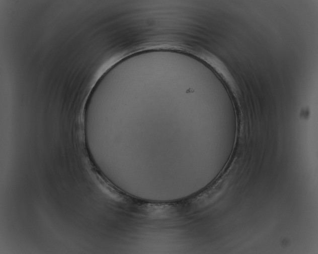 X0000095551242200801041324