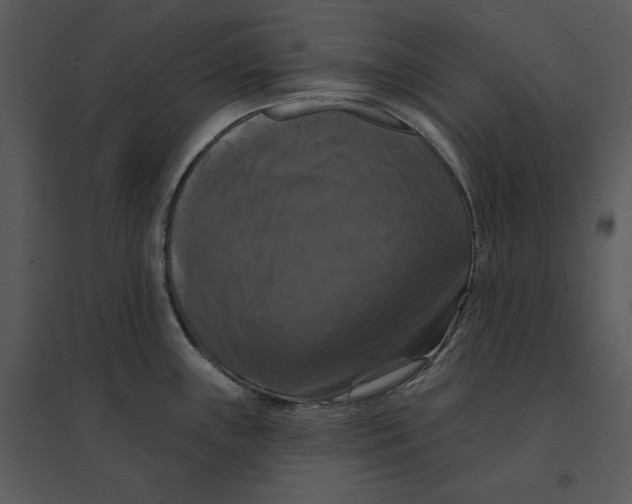 X0000095551243200801041324