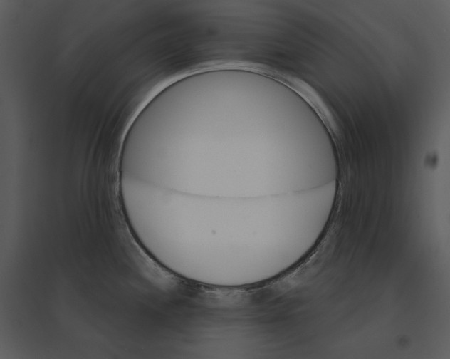 X0000095551244200801041324