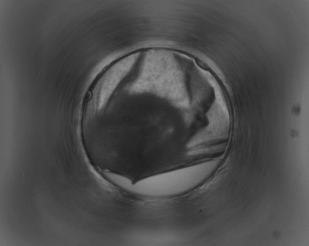 X0000095551245200801041324