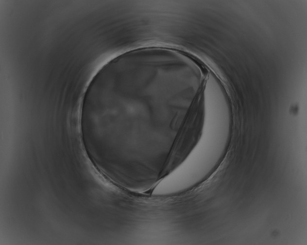 X0000095551246200801041324