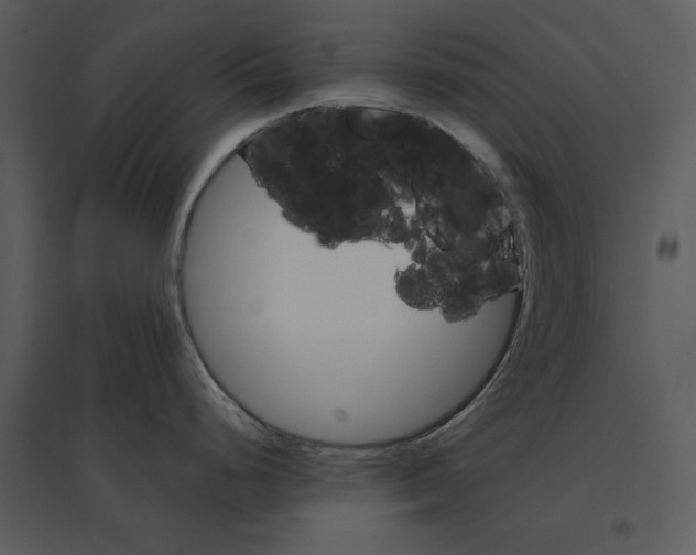 X0000095551248200801041324