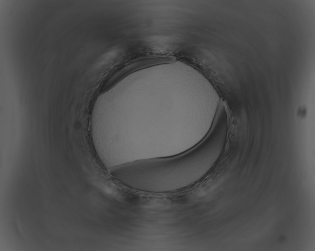 X0000095551249200801041323