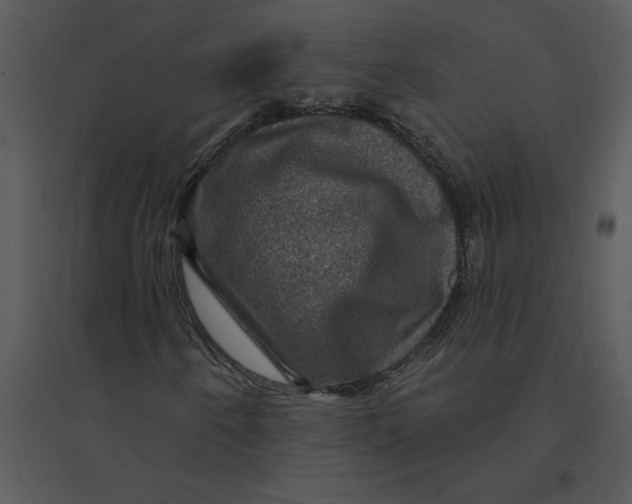 X0000095551250200801041323