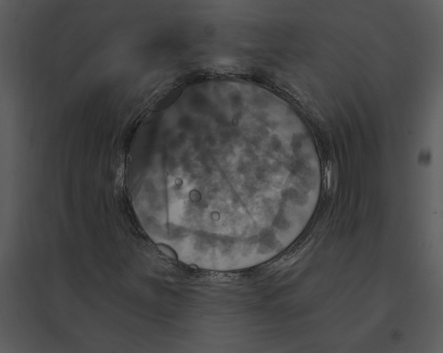 X0000095551251200801041323