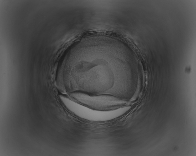 X0000095551253200801041323