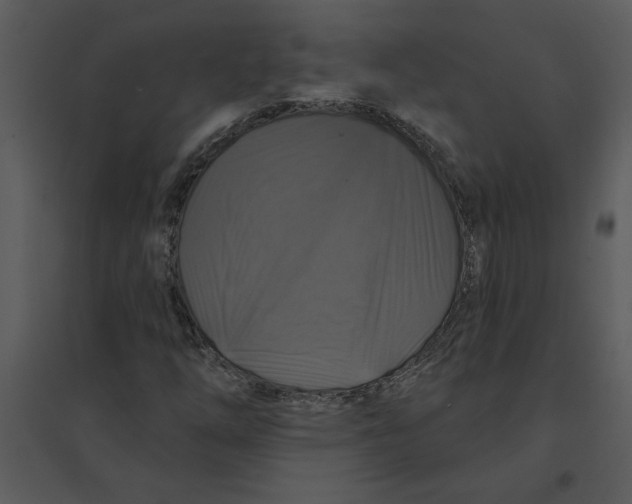 X0000095551254200801041323