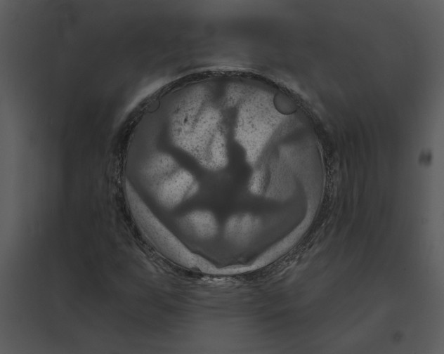 X0000095551255200801041323