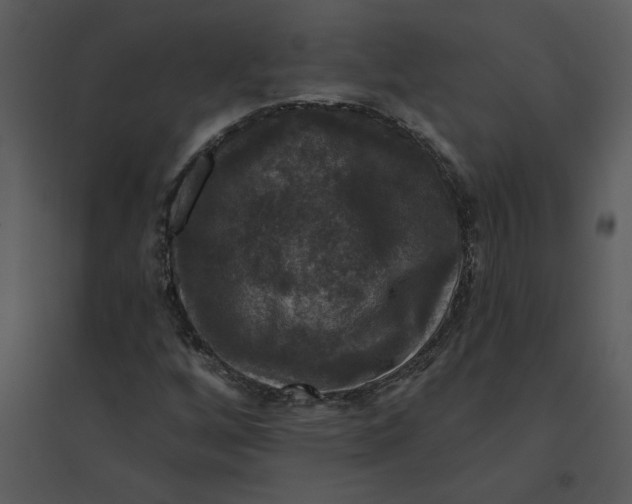 X0000095551256200801041323