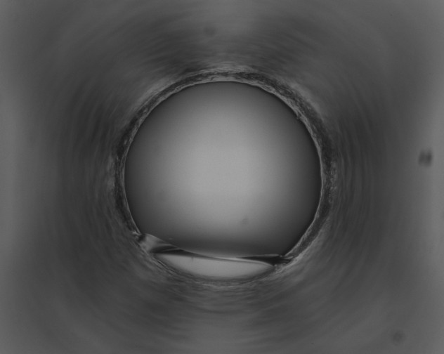 X0000095551257200801041323