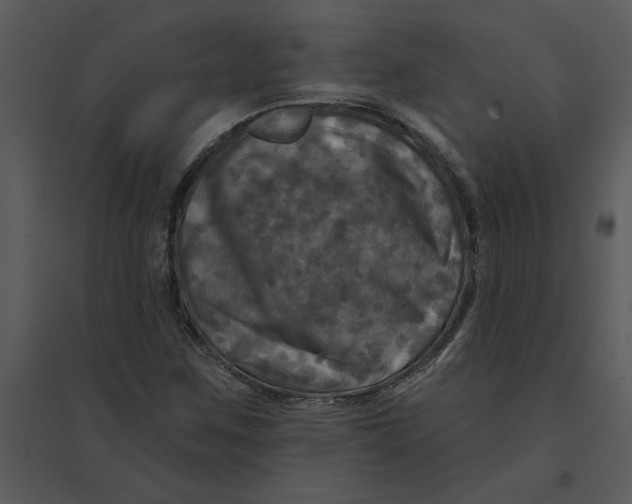 X0000095551259200801041323