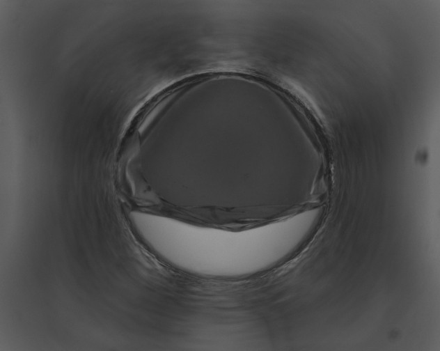 X0000095551260200801041323