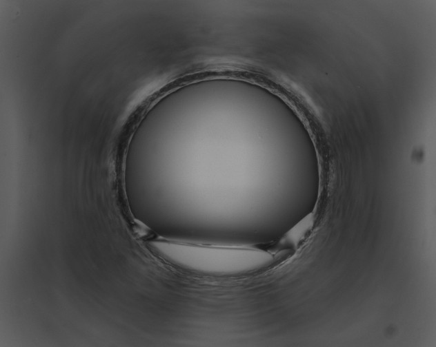 X0000095551261200801041323