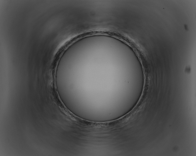 X0000095551262200801041323