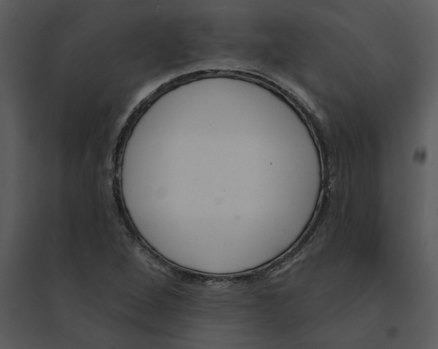 X0000095551264200801041323