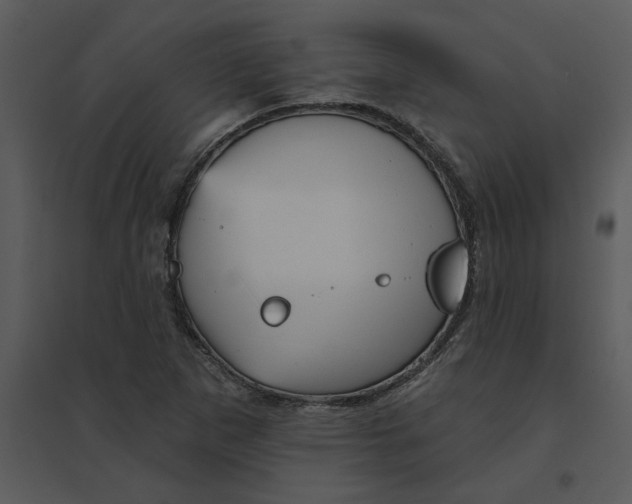 X0000095551265200801041323